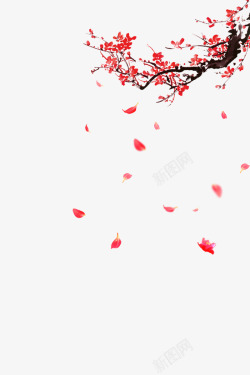 花瓣新年素材中国风梅花高清图片