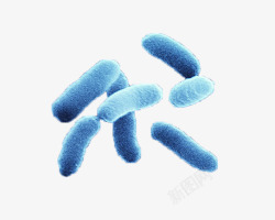 微生物大肠杆菌高清图片