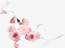 白色玫瑰花点缀丝带白色玫瑰花高清图片