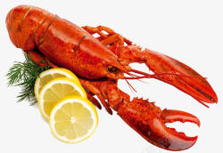 烤龙虾新鲜澳洲龙虾高清图片