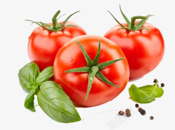 美味的番茄三个新鲜的西红柿高清图片