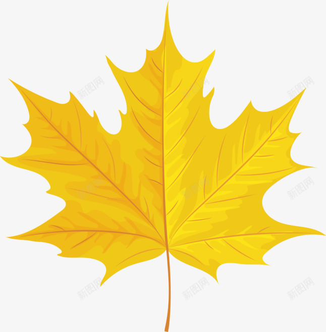 秋天的黄色叶子png免抠素材_88icon https://88icon.com 扇子叶 枫叶 枫叶标本 树叶 秋 落叶 黄树叶