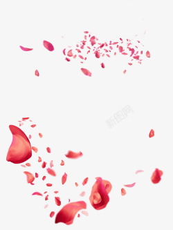 红色飞舞的花瓣效果素材