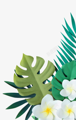 龟背竹叶子手绘植物叶子花朵装饰高清图片