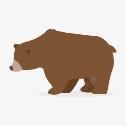 手绘棕熊动物素材