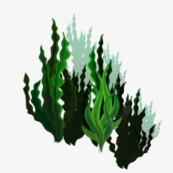绿色海底生物海带素材