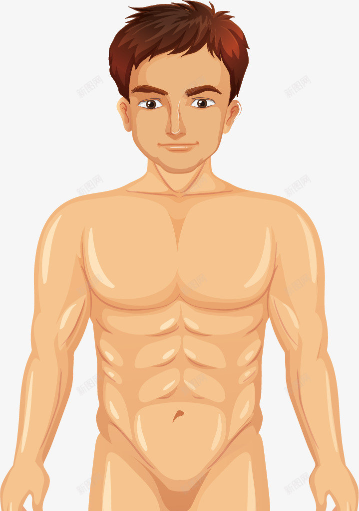 男性人体肌肉组织矢量图ai免抠素材_88icon https://88icon.com 人体 男性 男性肌肉 矢量png 肌肉 肌肉组织 矢量图