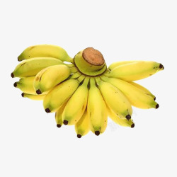 一串黄色小清新淘宝小米蕉水果免素材
