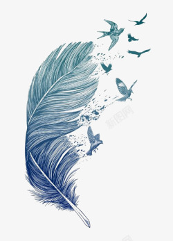 鸟飞翔插画蓝色羽毛高清图片