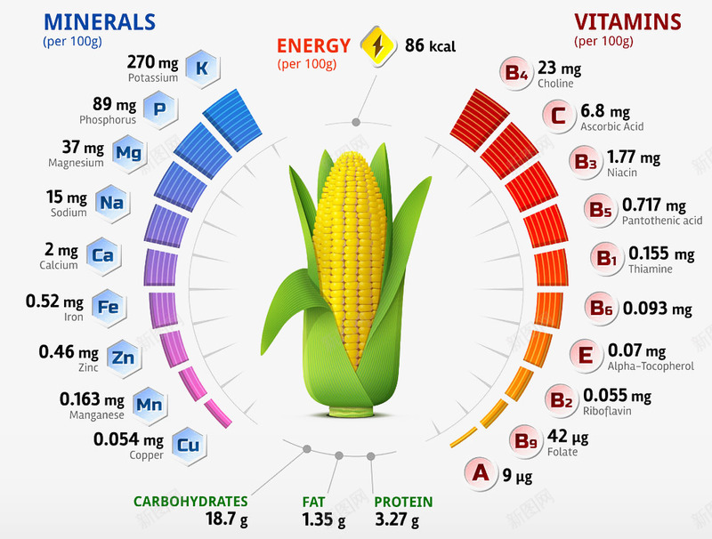卡通玉米营养元素图png免抠素材_88icon https://88icon.com 卡通玉米 玉米 营养元素图