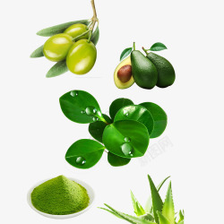 绿色植物美白祛斑素材