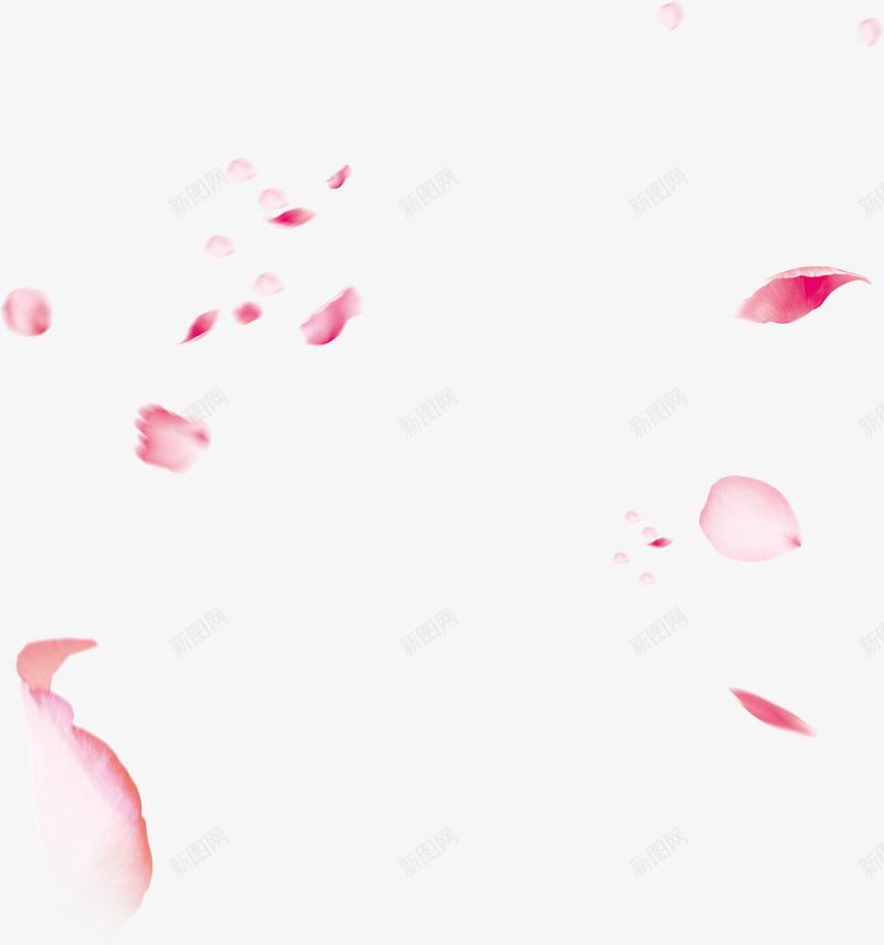 漂浮玫瑰花瓣女神节png免抠素材_88icon https://88icon.com 一朵朵 女神 完结撒花 洒落花瓣 漂浮 玫瑰 素材 花瓣 花飘落