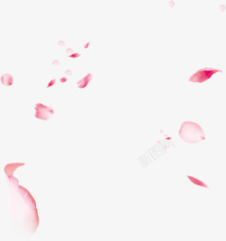 一朵朵漂浮玫瑰花瓣女神节高清图片