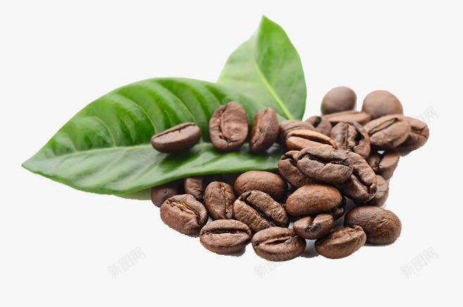 叶子和咖啡豆png免抠素材_88icon https://88icon.com 叶子 咖啡豆 棕色