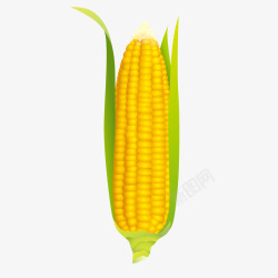 营养食品玉米营养食品玉米元素矢量图高清图片