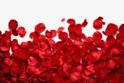 红色梦幻富士山红色浪漫梦幻玫瑰花瓣特写高清图片