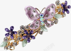 亮晶晶的蝴蝶紫罗兰蝴蝶高清图片