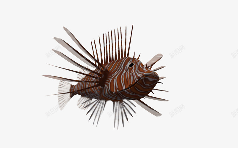 海底3d鱼类png免抠素材_88icon https://88icon.com 3d卡通鱼 卡通动物 卡通鱼 海底动物 自然 鱼类