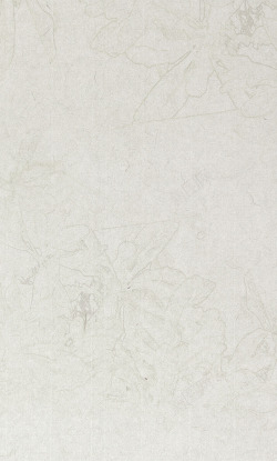 浅色底纹中国风传统浅色亚麻质感装饰背景高清图片