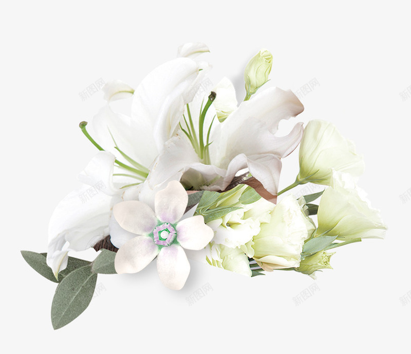 清新百合花朵装饰png免抠素材_88icon https://88icon.com 小清新 手绘树叶 手绘玫瑰 手绘画 手绘花朵 手绘花草 树木植物 百合花朵 花朵装饰