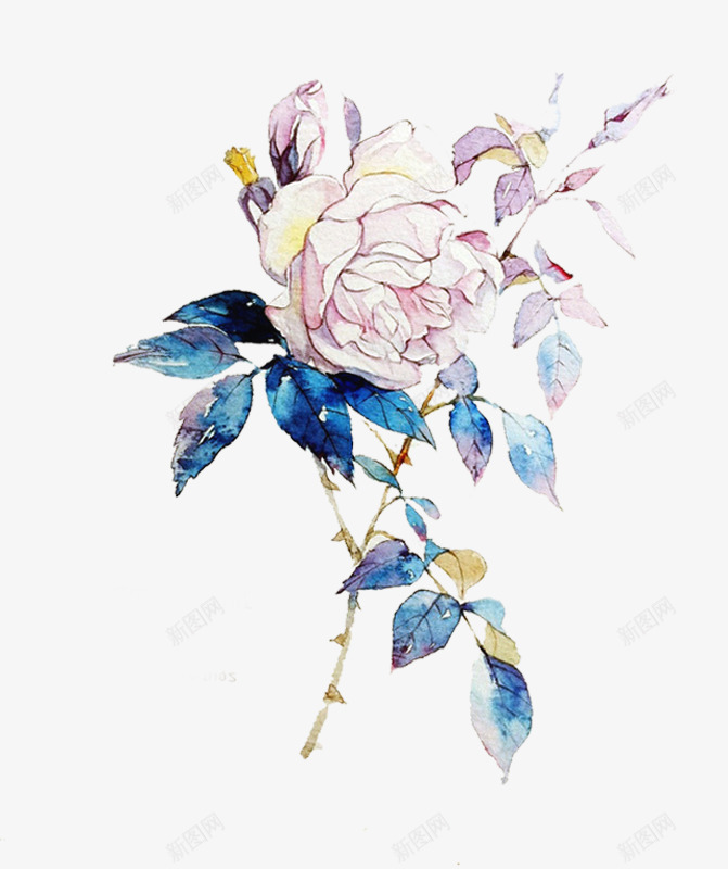 唯美清新粉色玫瑰爱情png免抠素材_88icon https://88icon.com 清新 爱情 玫瑰 粉色