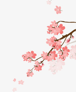 樱花树枝手绘精美树枝上的粉色樱花高清图片