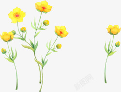 手绘黄色小花植物生命力素材