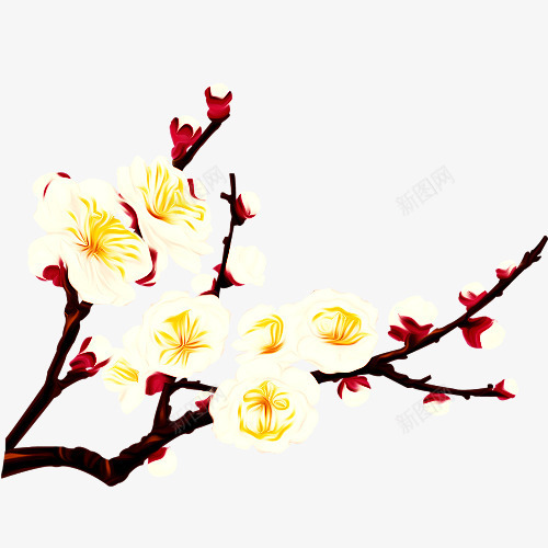 梅花png免抠素材_88icon https://88icon.com 三角梅 小花 杉树 栀子花 桃花 梅花 梨花 油画 牡丹 玫瑰花 百合 竹子 绿叶 美女 茉莉 荷叶 荷花 韩模