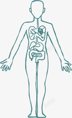 人体消化系统素材