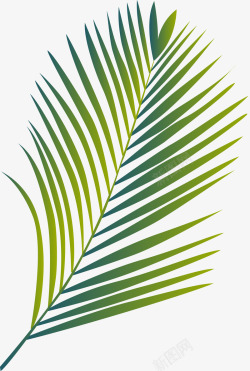 植物叶剪影创意棕榈叶叶子图矢量图高清图片