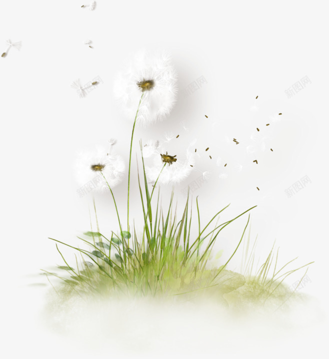 绿色春天蒲公英装饰png免抠素材_88icon https://88icon.com 春天 绿色 蒲公英 被风吹走的蒲公英 装饰