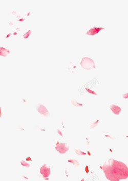 粉色桃花飘桃花花瓣装饰背景高清图片