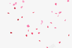 节日素材花瓣情人节妇女节三八节花瓣高清图片