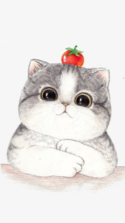可爱手绘头顶苹果的大脸猫咪高清图片