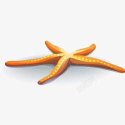 卡通海星素材