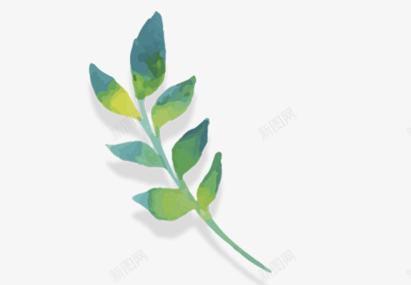 小绿叶绿色的叶子png免抠素材_88icon https://88icon.com 一片 叶子 图案 夏天 手绘植物 春天 树叶 植物 绘画 绿色 装饰