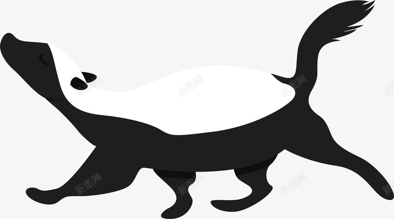 奔跑的黑白色蜜獾png免抠素材_88icon https://88icon.com 动物 卡通蜜獾 卡通风格 矢量蜜獾 蜜獾 黑白色