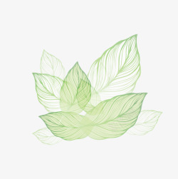 手绘树叶小清新装饰素材