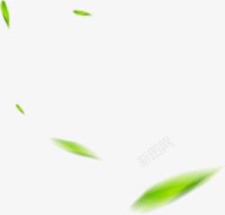 绿色模煳叶子绿色模糊树叶漂浮植物高清图片
