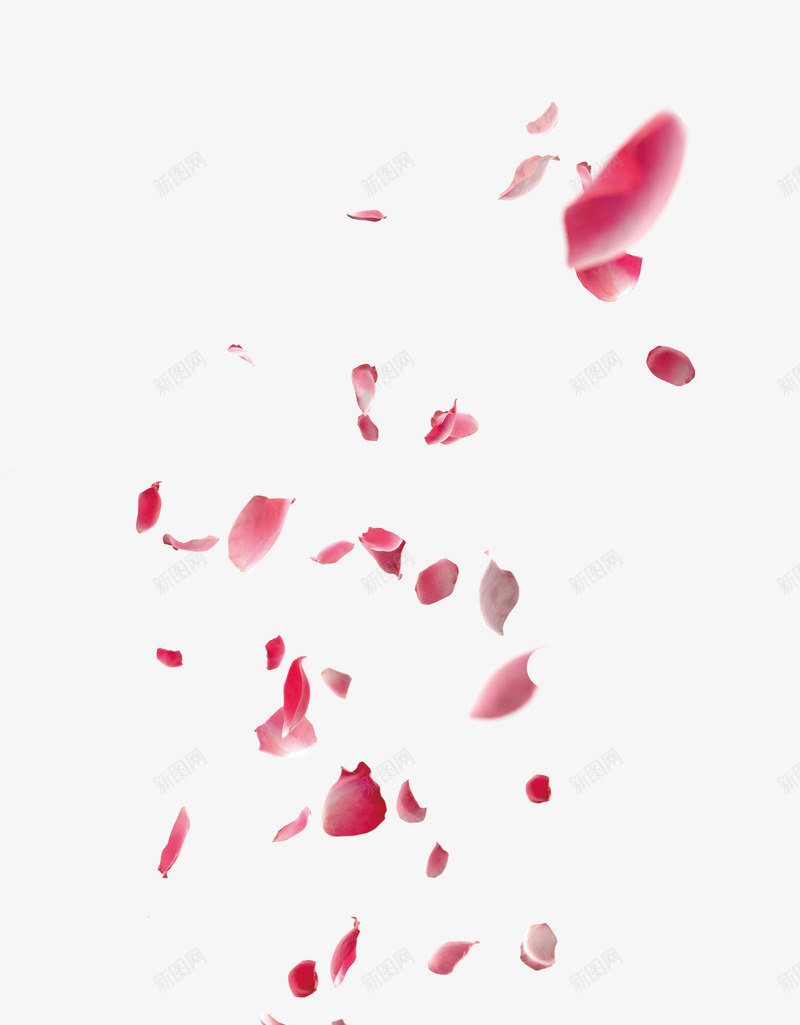 漂浮花瓣png免抠素材_88icon https://88icon.com Webdesign 七夕情人节海报免费下载 七夕情人节飘浮 七夕节 唯美 平面设计 情人节 桃花 浪漫 浪漫设计元素 海报Banner 爱情 玫红 粉红 红酒 网页设计 花瓣 花瓣飘飘 装饰图案 设计