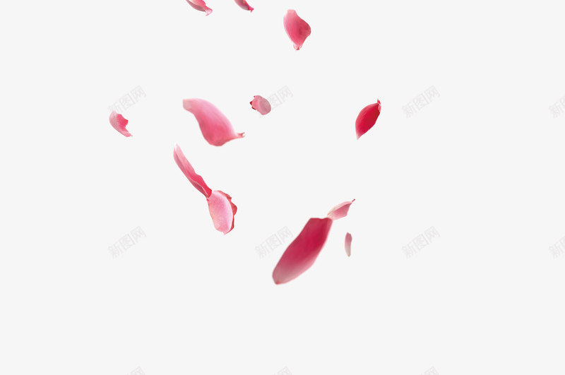 漂浮花瓣png免抠素材_88icon https://88icon.com Webdesign 七夕情人节海报免费下载 七夕情人节飘浮 七夕节 唯美 平面设计 情人节 桃花 浪漫 浪漫设计元素 海报Banner 爱情 玫红 粉红 红酒 网页设计 花瓣 花瓣飘飘 装饰图案 设计