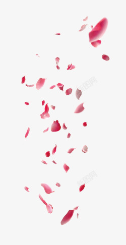 桃花海报素材漂浮花瓣高清图片