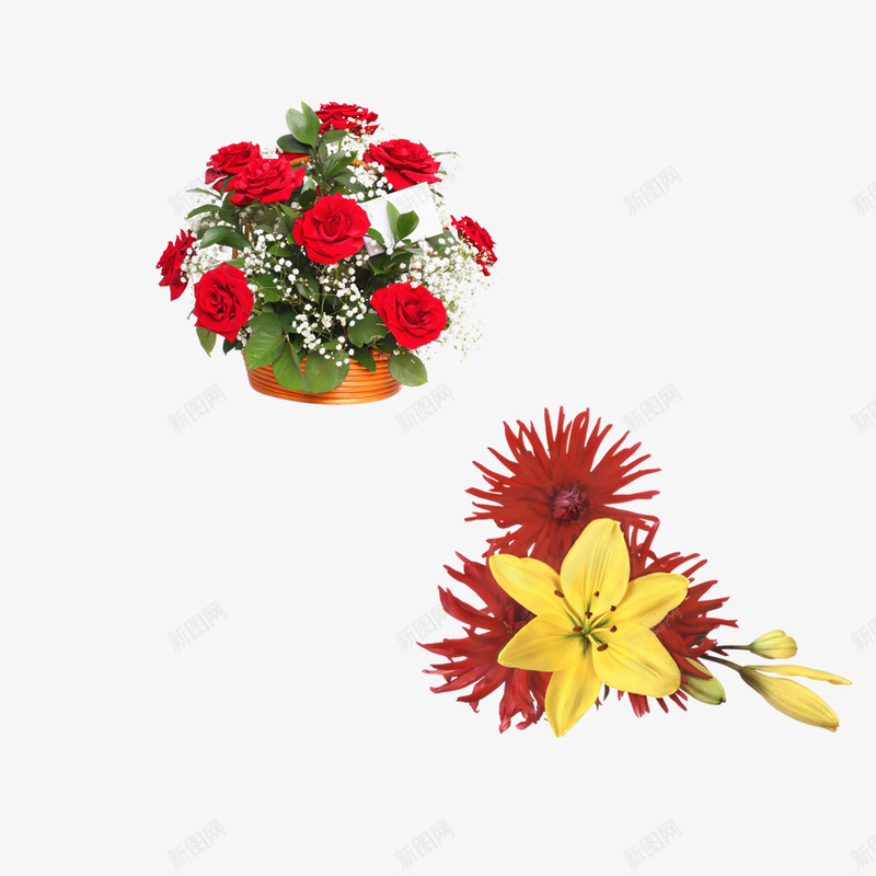 红色鲜花psd免抠素材_88icon https://88icon.com PNG 一支花矢量图 一朵花 一枝花 七叶 手捧花 花店 蔡庆 那朵花动漫 魔法免扣法阵 鲜花