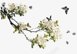 采蜜的蜜蜂山茶花蜜蜂和蝴蝶高清图片