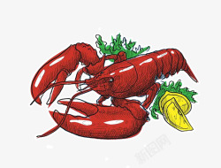 美味的大龙虾手绘麻辣大龙虾插画高清图片