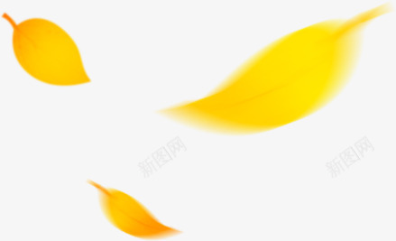金色叶子不规则漂浮装饰png免抠素材_88icon https://88icon.com 不规则 叶子 漂浮 装饰 金色