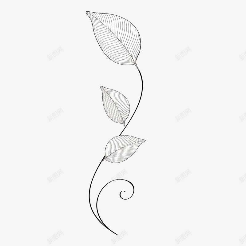 灰色叶子花纹png免抠素材_88icon https://88icon.com 叶子 复古 平面设计 底纹 欧式 灰色叶子 花卉 花纹 衬托 装饰物 边框 边框矢量 陪衬