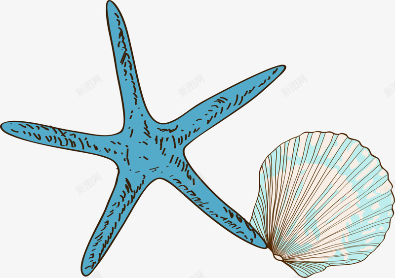 蓝色海星贝壳png免抠素材_88icon https://88icon.com 复古海星 大海 海底 海洋 蓝色海星 装饰图案 贝壳