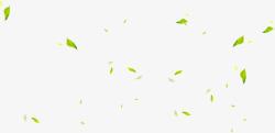 飘浮素材绿色清新春天树叶飘浮高清图片