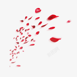 飞溅的花瓣红色飞溅的花瓣碎片高清图片